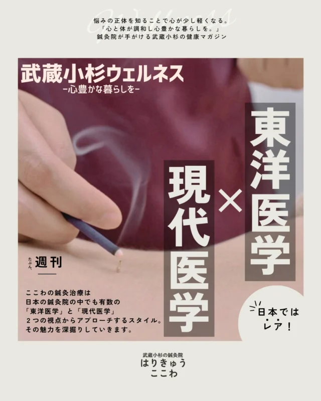 「病院の検査では異常がないと言われたけれど、なんとなく不調が続いている・・」
そんなお悩みはありませんか？

武蔵小杉はりきゅうここわでは、【現代医学（西洋医学）】と【東洋医学】の強みを掛け合わせたアプローチで、お身体の不調を根本から見つめ直します🌿

●解剖学や生理学に基づき、筋肉や関節、神経系の状態を客観的に捉え、症状のある部位以外との関連性を考え、「今の部位に症状がでてしまっている本当の原因は何か？」「日常生活のどのような事が影響しているか」等考察、分析します。

●東洋医学の視点では、痛い部分だけを見るのではなく、身体全体を一つの繋がりとして捉えるのが特徴です。気や血の巡りを整え、自律神経のバランスを回復させることで、人間が本来持っている「自然治癒力」を底上げします。「未病（病気になる前のサイン）」のケアも得意分野です。

● 現代医学 × 東洋医学 ＝ 根本改善へ
どちらか一方に偏るのではなく、両方の視点を持つこと、双方一緒にアプローチをする事が一番の近道だと私たちは考えています。

これまでの臨床経験を活かし、現代医学的な考察・アプローチで「身体の細かい構造を分析しアプローチ」、東洋医学の鍼灸で「内側からの巡りと自律神経」を整える。

このハイブリッド施術こそが、慢性的なあらゆる不調に対して、適切なアプローチが可能となります。

「マッサージに行ってもすぐに戻ってしまう」
「どこに相談していいか分からない」

そんな方は、一人で悩まずにぜひ一度ご相談ください。
現在のお身体の状態に合わせた、最適なオーダーメイド施術をご提案いたします！

📍 店舗情報
【武蔵小杉 はりきゅうここわ】
ご予約・詳細はプロフィール（ @harikyu_kokowa ）のリンクからご確認ください🔗

#鍼灸院 #はりきゅう #東洋医学 #自律神経を整える #未病 #武蔵小杉 #体質改善 #鍼灸 #武蔵小杉で鍼灸のある心地よい暮らし