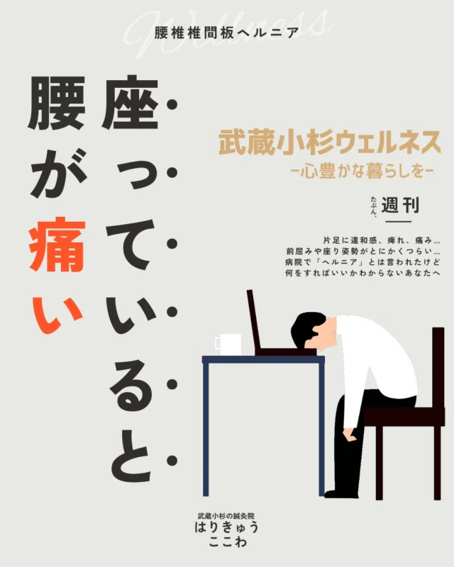 「お尻から足にかけてシビレがある・・」
「前かがみになるとつらい」
「座っているとお尻から足にかけていつも同じ場所に違和感がでてくる」

このような日常生活に少し支障をきたす辛い症状は「腰椎椎間板ヘルニア」かもしれません。

背骨の間にあるクッションの役割をする「椎間板」の一部が飛び出し、神経に触れてしまうことで、痛みやシビレ、感覚障害や筋力低などが生じます。
靴下を履くのが辛かったり、、
長く座っていられなかったり、、

本当に苦しいですよね。

『はりきゅうここわ』では、このようなヘルニアによる辛い症状に対しても、当院ならではの【現代医学 × 東洋医学】のアプローチでしっかりとサポートいたします💡

✅ 現代医学（構造的）なアプローチで「患部の負担を減らす」
ヘルニアを発症しやすい方は、骨盤から腰になんらかの負担をかける姿勢のクセがあることがほとんどです。原因は障害部位ではなく、その周り関節の柔軟性やバランスにあります。

✅ 東洋医学（鍼灸）のアプローチで「炎症と巡りをケアする」
影響を受けている神経周辺の「炎症」を鎮め、血流を改善するために鍼灸は非常に有効です。また、その方の体質に合わせた東洋医学的なアプローチで、回復しやすい体づくりを目指します。

「ブロック注射をしてもなかなか良くならない」
「手術以外の選択肢を探している」

そんな不安を抱えている方は、一人で悩まずにぜひ一度ご相談ください。
現在の症状や痛みの度合いに合わせ、無理のない最適なオーダーメイド施術をご提案いたします🍀

📍 店舗情報
【武蔵小杉 はりきゅうここわ】
ご予約・詳細はプロフィール（ @harikyu_kokowa ）のリンクからご確認ください🔗

#鍼灸院 #はりきゅうここわ #腰椎椎間板ヘルニア #武蔵小杉で鍼灸のある心地よい暮らし #坐骨神経痛 #ヘルニア #足のしびれ #痺れ #東洋医学 #武蔵小杉